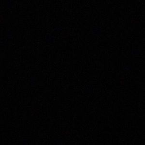 Meet your Posher, Selena